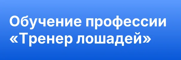 Обучение профессии «Тренер лошадей»