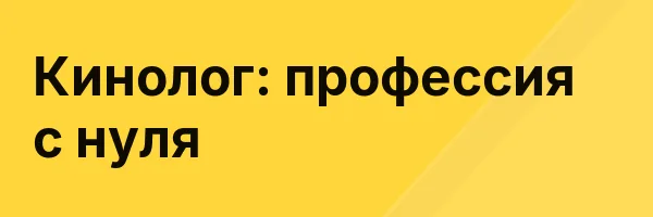Кинолог: профессия с нуля