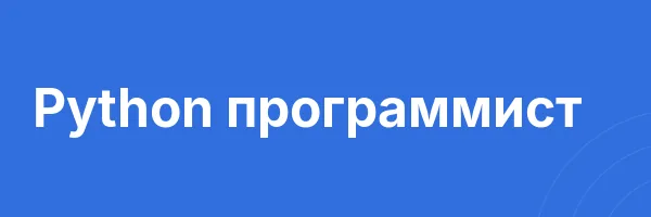 Python программист