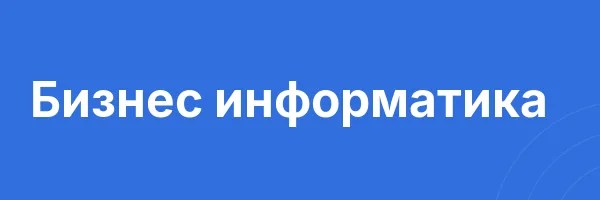Бизнес информатика