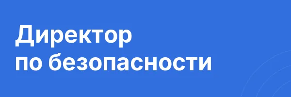 Директор по безопасности