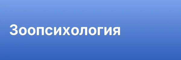 Зоопсихология