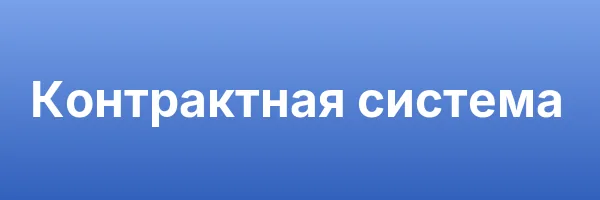 Контрактная система