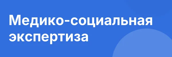 Медико-социальная экспертиза