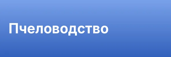 Пчеловодство