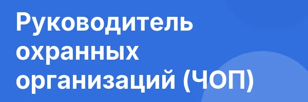 Руководитель охранных организаций (ЧОП)