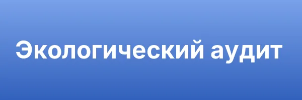 Экологический аудит