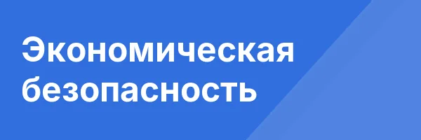 Экономическая безопасность