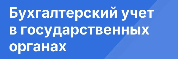 Бухгалтерский учет в государственных органах