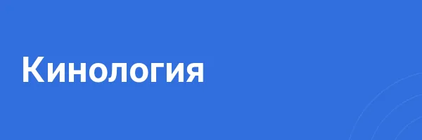 Кинология