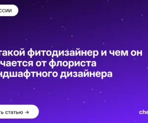 Обложка: Кто такой фитодизайнер и чем он отличается от флориста и ландшафтного дизайнера