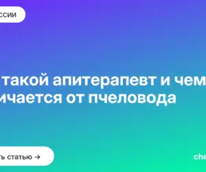 Обложка: Кто такой апитерапевт и чем он отличается от пчеловода