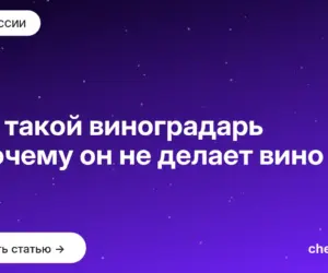 Обложка: Кто такой виноградарь и почему он не делает вино