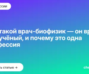 Обложка: Кто такой врач биофизик — он врач или учёный, и почему это одна профессия