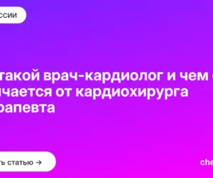 Обложка: Кто такой врач кардиолог и чем он отличается от кардиохирурга и терапевта