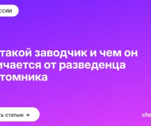 Обложка: Кто такой заводчик и чем он отличается от разведенца и питомника
