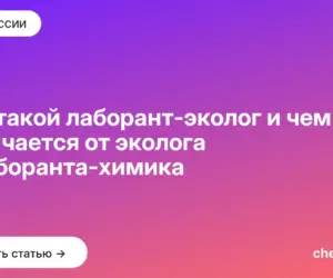 Обложка: Кто такой лаборант эколог и чем он отличается от эколога и лаборанта химика