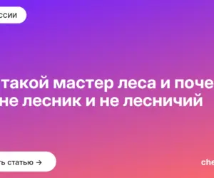 Обложка: Кто такой мастер леса и почему это не лесник и не лесничий
