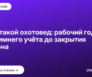 Обложка: Кто такой охотовед: рабочий год от зимнего учёта до закрытия сезона