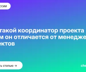 Обложка: Кто такой координатор проекта и чем он отличается от менеджера проектов