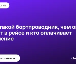 Обложка: Кто такой бортпроводник, чем он занят в рейсе и кто оплачивает обучение