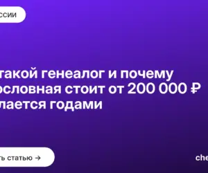 Обложка: Кто такой генеалог и почему родословная стоит от 200 000 ₽ и делается годами