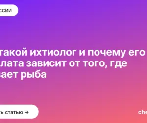 Обложка: Кто такой ихтиолог и почему его зарплата зависит от того, где плавает рыба