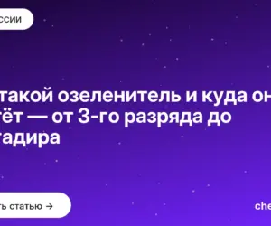Обложка: Кто такой озеленитель и куда он растёт — от 3 го разряда до бригадира