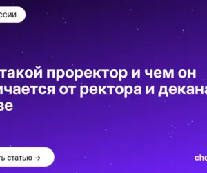Обложка: Кто такой проректор и чем он отличается от ректора и декана в вузе