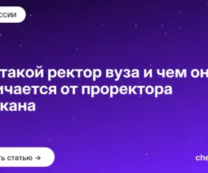 Обложка: Кто такой ректор вуза и чем он отличается от проректора и декана