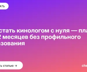 Обложка: Как стать кинологом с нуля — план на 12 месяцев без профильного образования