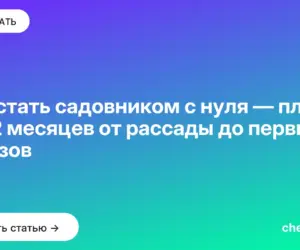 Обложка: Как стать садовником с нуля — план на 12 месяцев от рассады до первых заказов