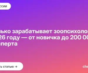 Обложка: Сколько зарабатывает зоопсихолог в 2026 году — от новичка до 200 000 ₽ у эксперта