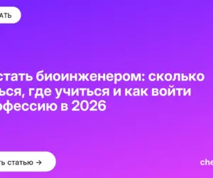 Обложка: Как стать биоинженером: сколько учиться, где учиться и как войти в профессию в 2026