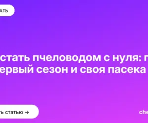 Обложка: Как стать пчеловодом с нуля: план на первый сезон и своя пасека