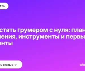 Обложка: Как стать грумером с нуля: план обучения, инструменты и первые клиенты