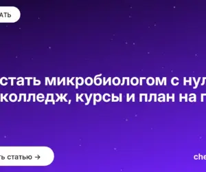 Обложка: Как стать микробиологом с нуля: вуз, колледж, курсы и план на год