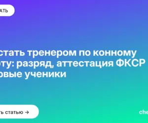 Обложка: Как стать тренером по конному спорту: разряд, аттестация ФКСР и первые ученики