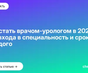 Обложка: Как стать врачом урологом в 2026: три входа в специальность и сроки каждого