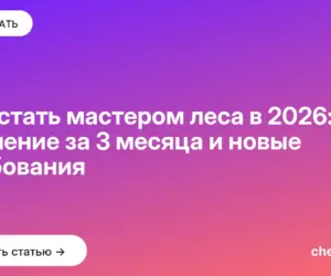 Обложка: Как стать мастером леса в 2026: обучение за 3 месяца и новые требования