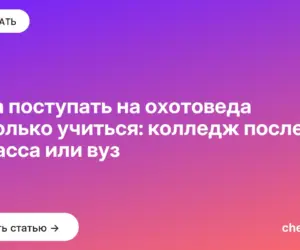 Обложка: Куда поступать на охотоведа и сколько учиться: колледж после 9 класса или вуз