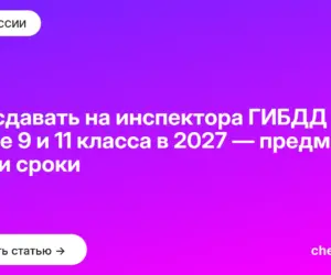 Обложка: Что сдавать на инспектора ГИБДД после 9 и 11 класса в 2027 — предметы, ВВК и сроки