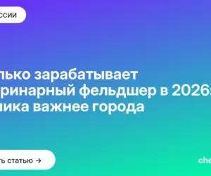 Обложка: Сколько зарабатывает ветеринарный фельдшер в 2026: клиника важнее города