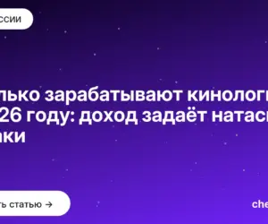 Обложка: Сколько зарабатывают кинологи в 2026 году: доход задаёт натаска собаки