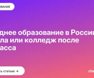 Обложка: Среднее образование в России: школа или колледж после 9 класса