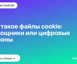 Обложка: Что такое файлы cookie: помощники или цифровые шпионы