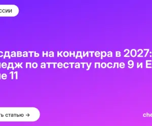 Обложка: Что сдавать на кондитера в 2027: колледж по аттестату после 9 и ЕГЭ после 11