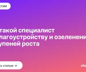Обложка: Кто такой специалист по благоустройству и озеленению: 6 ступеней роста