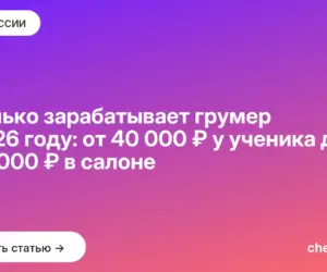Обложка: Сколько зарабатывает грумер в 2026 году: от 40 000 ₽ у ученика до 300 000 ₽ в салоне
