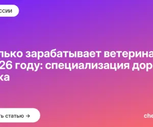 Обложка: Сколько зарабатывает ветеринар в 2026 году: специализация дороже стажа